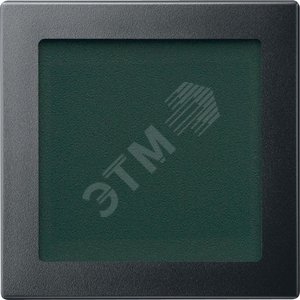 ЦЕНТРАЛЬНАЯ ПЛАТА С ОКОШКОМ АНТРАЦИТ - Schneider Electric