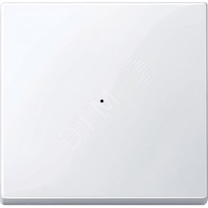 SM, КЛАВИША ДЛЯ МОДУЛЯ 1 КН. ВЫК, АК.БЕЛ - Schneider Electric