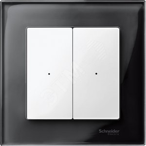 SM, КЛАВИША ДЛЯ МОДУЛЯ 2 КН. ВЫК, П.БЕЛ - Schneider Electric
