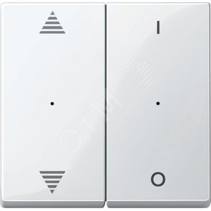 SM,КЛ.ДЛЯ МОД 2КН.ВЫК, ВВ/ВН,1/0, П.БЕЛ | MTN619619 | Schneider Electric - Schneider Electric