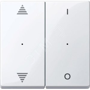 SM,КЛ.ДЛЯ МОД 2КН.ВЫК, ВВ/ВН,1/0, АК.БЕЛ | MTN619625 | Schneider Electric - Schneider Electric