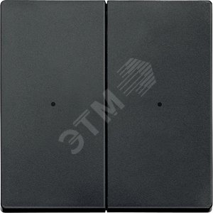 SM, КЛАВИША ДЛЯ МОДУЛЯ 2 КН. ВЫК, АНТРАЦ | MTN625214 | Schneider Electric - Schneider Electric
