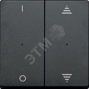 SM,КЛ.ДЛЯ МОД 2КН.ВЫК РИС ВВ/ВН,1/0,АНТР | MTN625614 | Schneider Electric - Schneider Electric