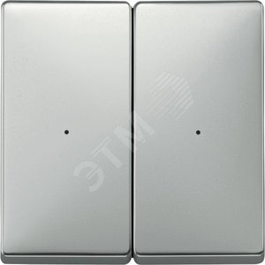 SD, КЛАВИША ДЛЯ МОДУЛЯ 2 КН. ВЫК, СТАЛЬ - Schneider Electric