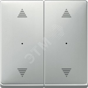 SM Клавиша для модуля двухкнопочного выключателя рисунок ВВ/ВН сталь - Schneider Electric