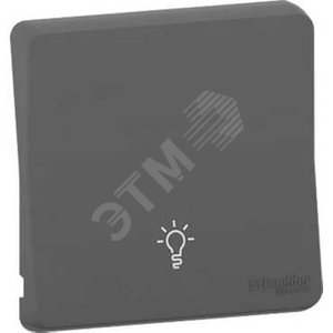 Клавиша MUREVA S с символом 'Свет', антрацит, IP55 - Schneider Electric