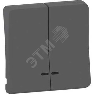 MUREVA S двойная клавиша с линзой подсветки, антрацит, IP55 - Schneider Electric