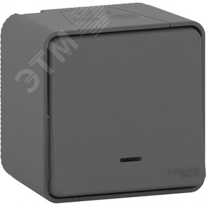 Mureva Styl Антрацит Выключатель кнопочный с подсв., IP55 (в сборе) | MUR35028 | Schneider Electric - Schneider Electric