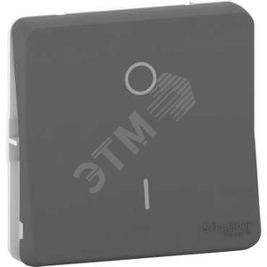 Mureva Styl Антрацит Переключатель 2-полюсный, IP55 | MUR35034 | Schneider Electric - Schneider Electric