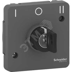 MUREVA S переключатель ключ 3 пол., антрацит - Schneider Electric