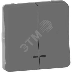 Mureva Styl Антрацит Выключатель 2-кл. кнопочный с подсветкой, IP55 | MUR35228 | Schneider Electric - Schneider Electric