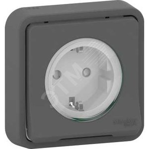 MUREVA S розетка  скр/ уст., антрацит - Schneider Electric