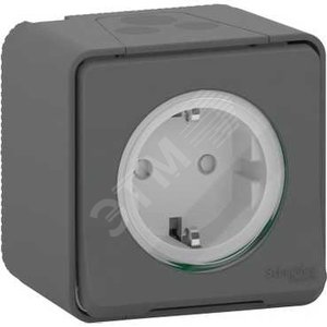 MUREVA S розетка отк/уст, винт. клем., антр - Schneider Electric