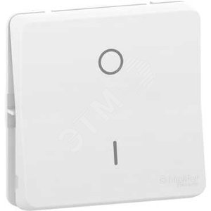 Mureva Styl Белый Переключатель 2-полюсный, IP55 | MUR39033 | Schneider Electric - Schneider Electric