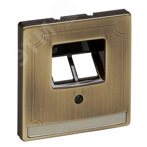 ЦЕНТР.ПЛАТА Д/МЕХ-МОВ RJ45 X2 АНТИЧ.ЛАТУНЬ | MTN292643 | Schneider Electric 3