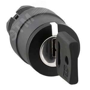 Головка переключателя с ключом (ZB5AG05) 3