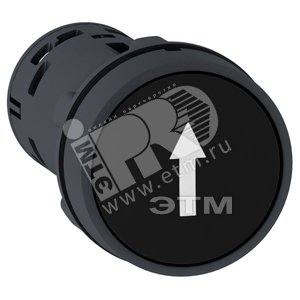 ЧЕРНАЯ КНОПКА С ПОТАЙ.ТОЛКАТ 1НО СТРЕЛКА XB7NA21341 | XB7NA21341 | Schneider Electric