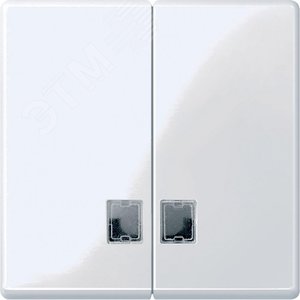 ДВОЙНАЯ КЛАВИША С ОКНАМИ ДЛЯ СИМВ. | MTN438525 | Schneider Electric - фото 4