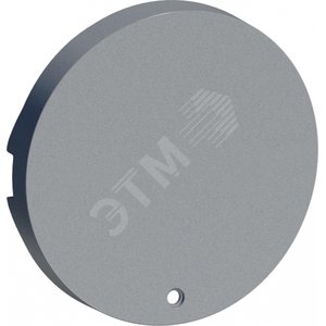 ODACE Клавиша 1шт с окошком алюминий (S53R297)