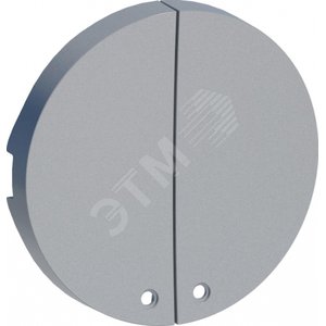 ODACE КЛАВИША с окном подсветки, 2-клавишная      кнопка, АЛЮМИНИЙ (S53R298)