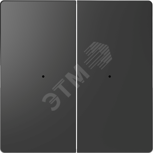 Клавиша D-Life PlusLink 2-ная без символов антрацит SD