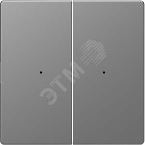 Клавиша D-Life PlusLink 2-ная без символов нержавеющая сталь SD