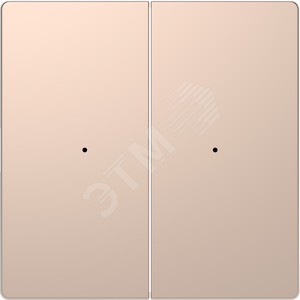 D-Life PlusLink КЛАВИША 2-ная без симв-в, ШАМПАНЬ, SD | MTN5220-6051 | Schneider Electric - Schneider Electric
