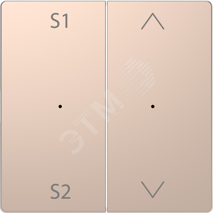 D-Life PlusLink КЛАВИША 2-ная с S1/S2, вх/вз, ШАМПАНЬ, SD | MTN5227-6051 | Schneider Electric - Schneider Electric