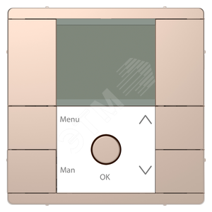 D-Life PlusLink ЦЕНТРАЛЬНАЯ ПЛАТА ТАЙМЕРА с дисплеем ШАМПАНЬ, SD | MTN5755-6051 | Schneider Electric