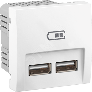 ЗАРЯДНОЕ УСТР-ВО 2хUSB 2.1A БЕЛЫЙ R9003 - Schneider Electric