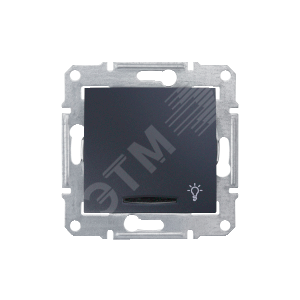 Sedna Выключатель-кнопка с символом Свет с подсветкой графит