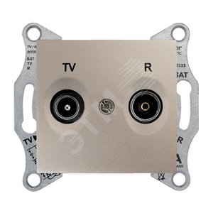 TV/R розетка оконечная титан