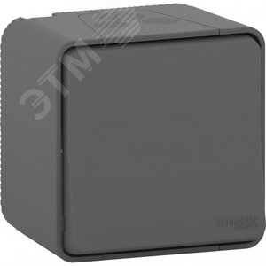 MUREVA S переключатель 2-полюсный, открытой установки, антрацит, IP55 (MUR35033)
