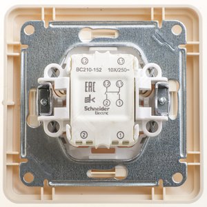 Выключатель одноклавишный, двухполюсный, 10АХ, в сборе, слоновая кость