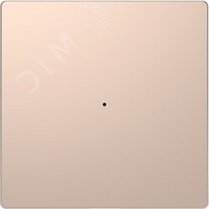 Клавиша D-Life PlusLink 1-ная без символов шампань SD (MTN5210-6051) - Schneider Electric