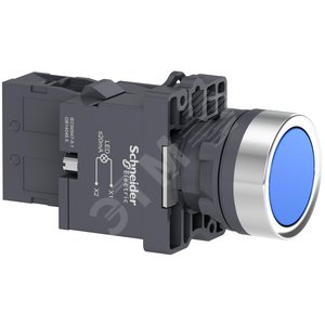 КНОП.СПОДСВ.СLED220В.СИНЯЯ1НO - Schneider Electric