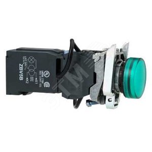 СИГНАЛЬНАЯ ЛАМПА, ЗЕЛЕНАЯ, XB4BV8B3 | XB4BV8B3 | Schneider Electric - Schneider Electric