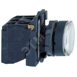 Кнопка 22мм 48-120В белая с подсветкой (XB5AW31G5)