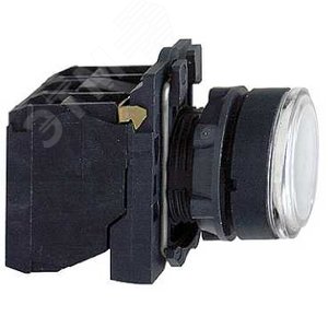 Кнопка 22мм 48-120В белая с подсветкой (XB5AW31G5) 5