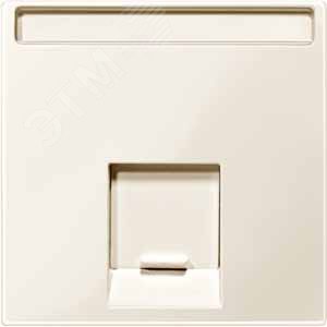 Центральная плата для розетки 1 пост бежевый 6