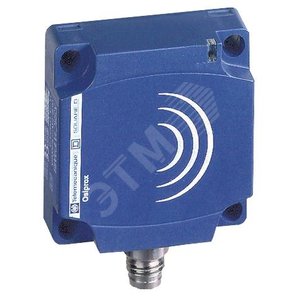 ИНДУКТИВНЫЙ ДАТЧИК ФОРМАТА С XS7C1A1PAM8 | XS7C1A1PAM8 | Schneider Electric - Schneider Electric