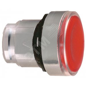 ГОЛОВКА ДЛЯ КНОПКИ ZB4BA48 | ZB4BA48 | Schneider Electric