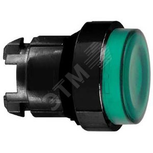 ГОЛОВКА КНОПКИ, С ПОДСВ., С ФИКСАЦИЕЙ - Schneider Electric