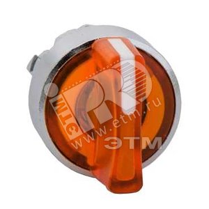 ГОЛОВКА ПЕРЕКЛЮЧАТЕЛЯ, ZB4BK1753 | ZB4BK1753 | Schneider Electric