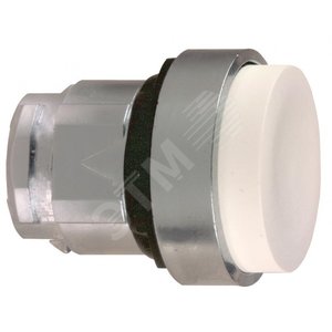 ГОЛОВКА ДЛЯ КНОПКИ ZB4BL1 | ZB4BL1 | Schneider Electric