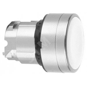 Кнопка (ZB4BP183)