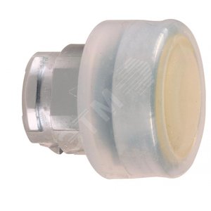 ГОЛОВКА ДЛЯ КНОПКИ ZB4BP5 | ZB4BP5 | Schneider Electric