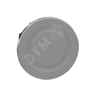 ЗАПИРАЮЩАЯ СКОБА 22ММ, КРУГЛАЯ, ЗАПОДЛИЦО, МЕТАЛЛ - Schneider Electric
