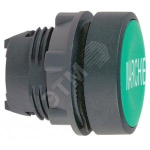 ГОЛОВКА ДЛЯ КНОПКИ ZB5AA342 | ZB5AA342 | Schneider Electric