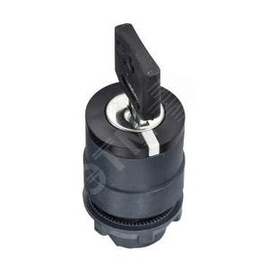 ГОЛОВКА ПЕРЕКЛЮЧАТЕЛЯ, С КЛЮЧЕМ, 2 ПОЗ. ZB5AG02D | ZB5AG02D | Schneider Electric